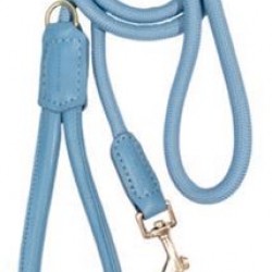 Life - Dog Lead - Atelier