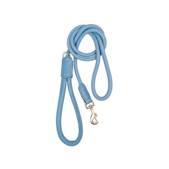 Life - Dog Lead - Atelier