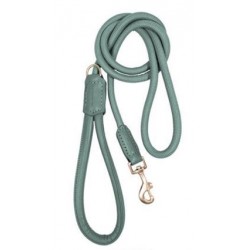 Life - Dog Lead - Atelier