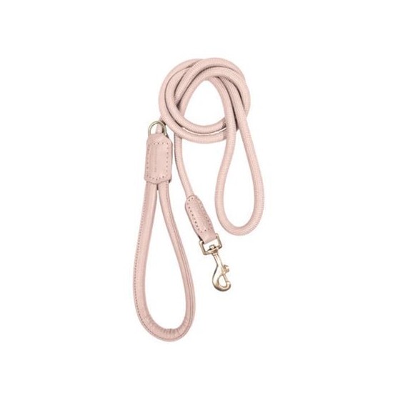 Life - Dog Lead - Atelier