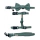 Life - Cat Walking Set