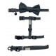 Life - Cat Walking Set