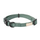Life - Dog Collar