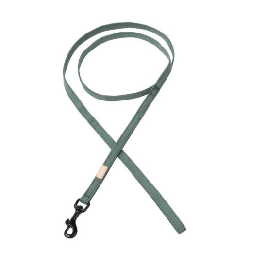 Life - Dog Lead