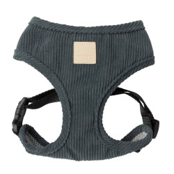 Life - Harness - Corduroy
