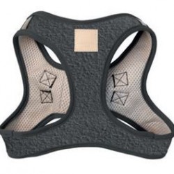 Life - Step In Harness - Boucle