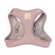 Life - Step In Harness - Boucle