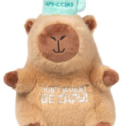 Capybaras - Capy-Ccino