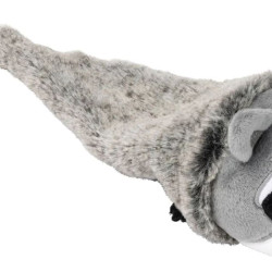 Yeetz - Run Along Raccoon