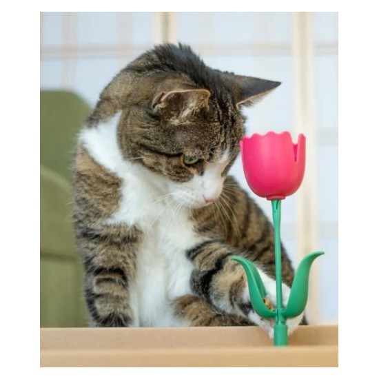 Springy Flower Cat Treat Toy