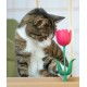 Springy Flower Cat Treat Toy