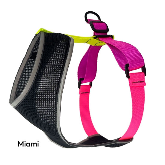 Featherweight Air Harness