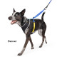 Featherweight Air Harness