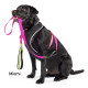Featherweight Air Harness