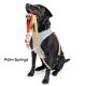 Featherweight Air Harness