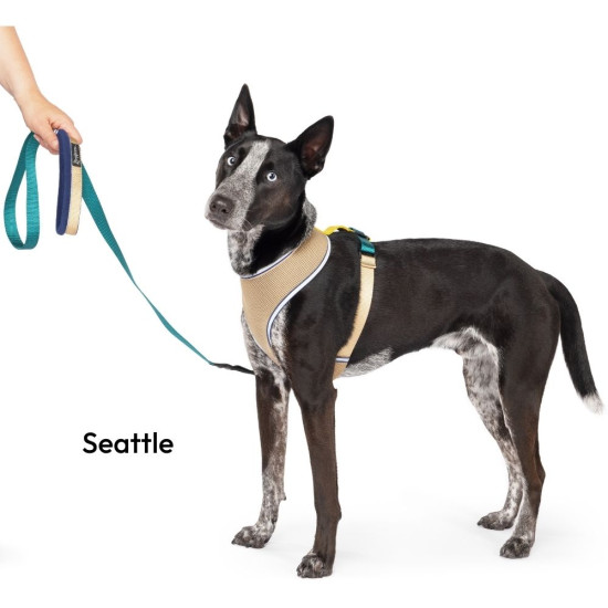 Featherweight Air Harness