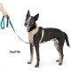 Featherweight Air Harness