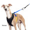 Featherweight Harness