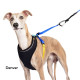 Featherweight Harness
