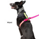 Featherweight Harness