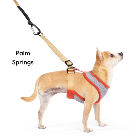 Featherweight Harness
