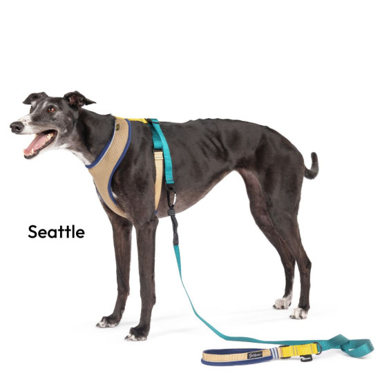 Featherweight Harness