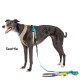 Featherweight Harness