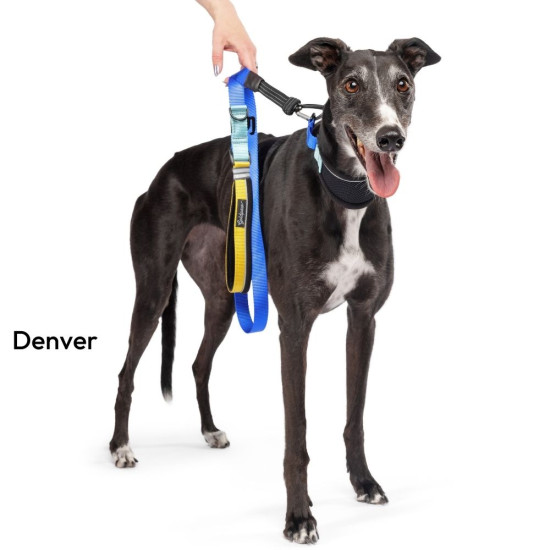 Featherweight Hound Collar
