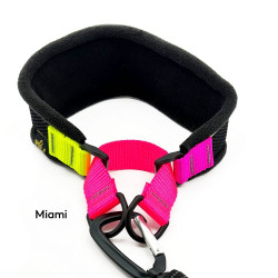 Featherweight Hound Collar