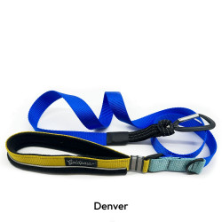 Featherweight Leash