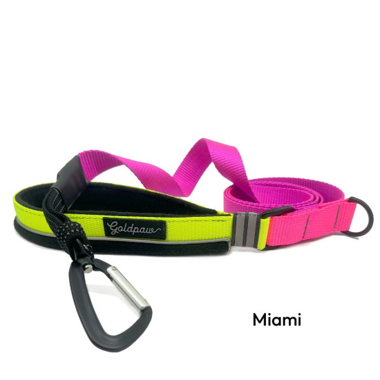 Featherweight Leash