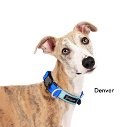 Featherweight Swiftlock Collar