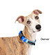 Featherweight Swiftlock Collar