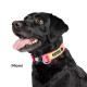 Featherweight Swiftlock Collar