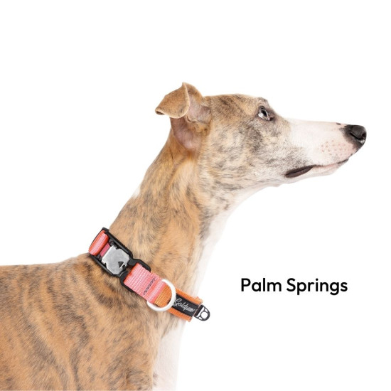 Featherweight Swiftlock Collar