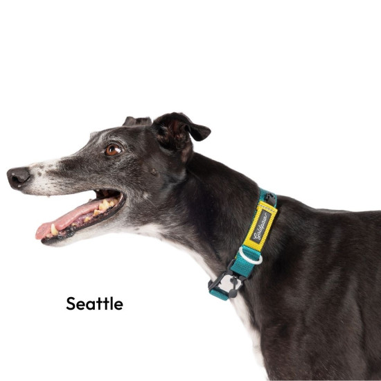 Featherweight Swiftlock Collar