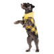 Portland Pullover