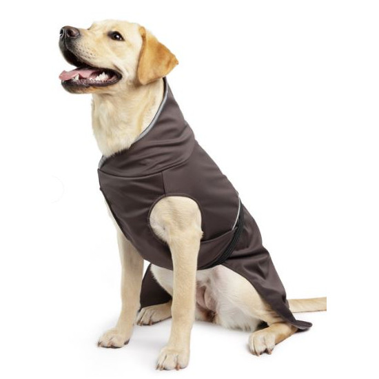 Rain Paw II