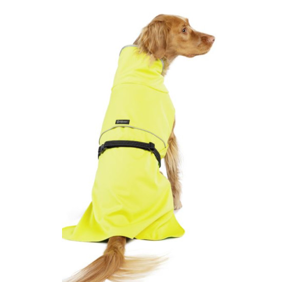 Rain Paw II