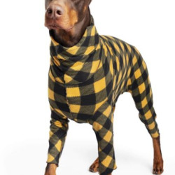 Signature Suit