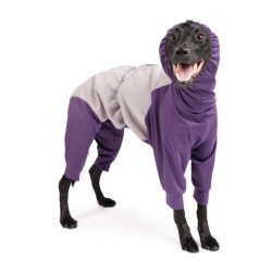 Ski Suit
