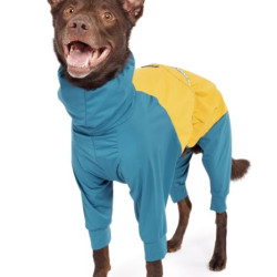 Ski Suit