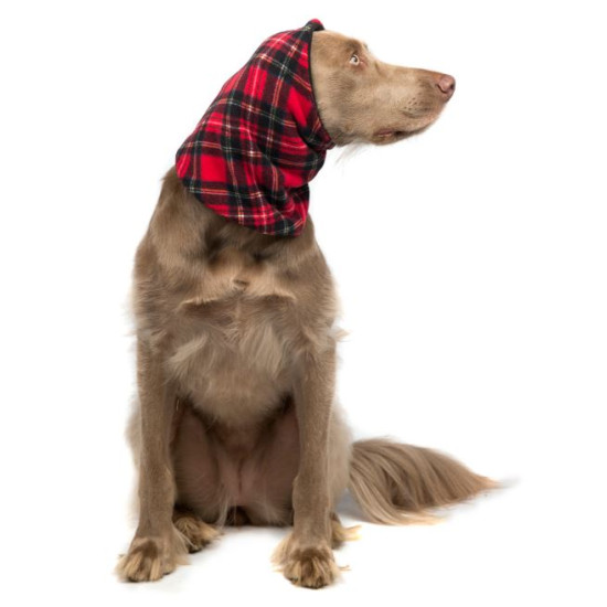 Snood
