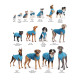 Stretch Fleece