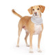 Sun Shield Snood