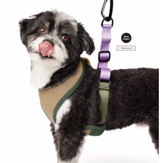 Featherweight Air Harness