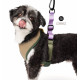 Featherweight Air Harness