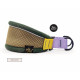 Featherweight Hound Collar