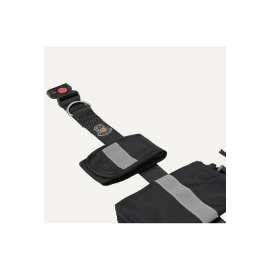 Hands Free Waist Bungee Leash