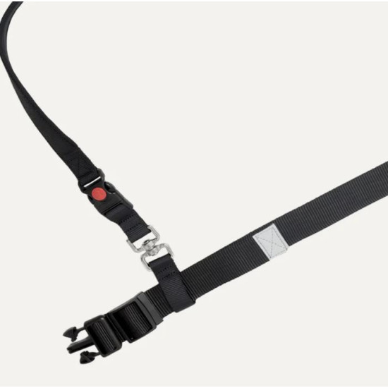 Hands Free Waist Bungee Leash